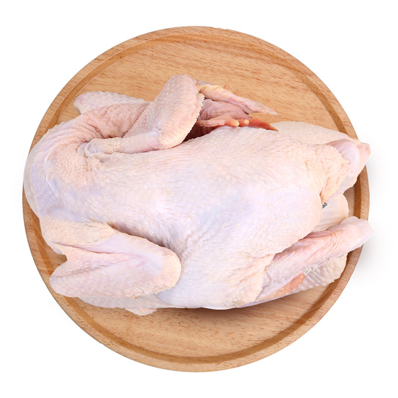 正宗清远麻鸡土鸡农家散养黄油老母鸡走地鸡整只新鲜现杀椰子鸡项