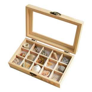 天然古生物海洋生物化石标本套装矿物矿石原石儿童科学探索玩具