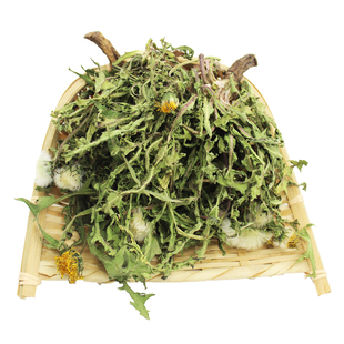 野生蒲公英整根特新鲜浦草株颗棵级婆婆丁干货中药材正品花茶250g