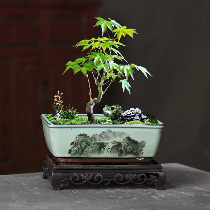 多肉花盆陶瓷马槽长方形紫砂盆景绿植盆栽室内底座托盘中国风摆件