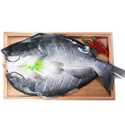 清江鱼三去开背净重500g-1300g