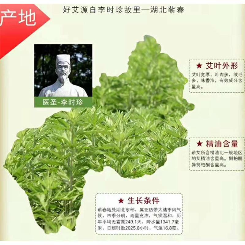 易和多宝福宝蕲艾手持灸石磨绒艾柱条经络全身排毒优质艾叶绒精品