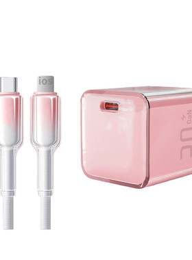 东远明扬苹果充电器14快充线30W