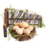 农家自养散养土鸡蛋40枚包邮正宗土特产新鲜土鸡蛋草鸡蛋笨鸡蛋