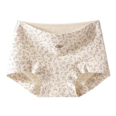 女士内裤全棉a类纯棉2025新款