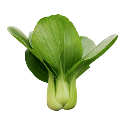 改良金品28/1雨季上海青梗菜