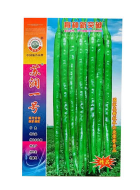 苏润一号辣椒种子大棚四季