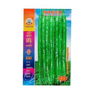 苏润一号线椒种籽抗病早熟高产春秋季大棚四季优质特长辣椒种孑