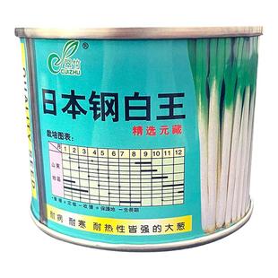 日本钢白王大葱种子进口高白大葱晚抽一本日本进口大葱种子春季秋