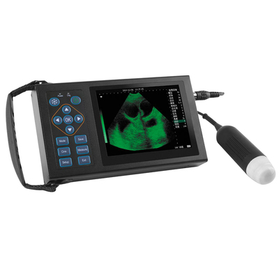 b超机拓邦16种彩色成像猪