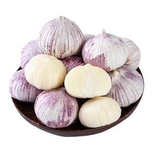正宗云南独头蒜新鲜紫皮大蒜头湿蒜当季现挖干大蒜5斤糖蒜发包邮3