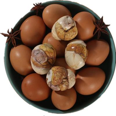 百兴济13天活珠子鸡胚蛋