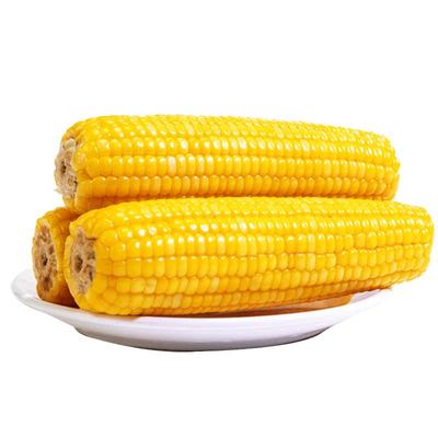 头茬新鲜正宗东北黄糯玉米棒苞米真空包装黄粘玉米加热即食代早餐
