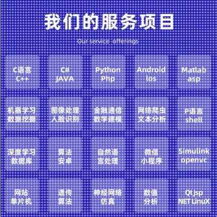 Python代编程深度学习java程序代做matlab代码web帮做彷真算法c++