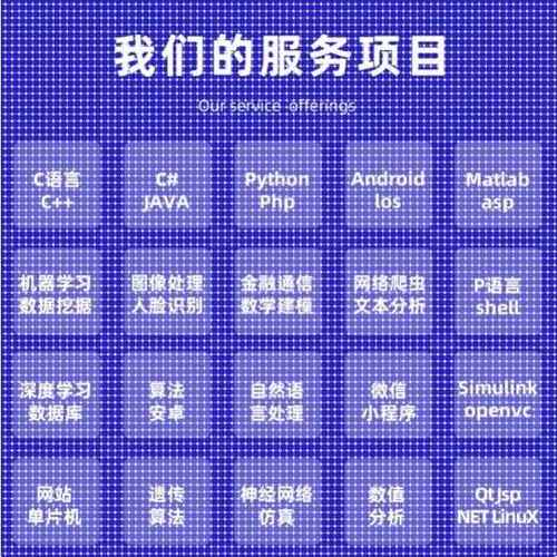Python代编程深度学习java程序代做matlab代码web帮做彷真算法c++