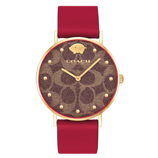 COACH蔻驰手表女款蛇本命年龙年金猪生肖表小红表女生女神节礼物