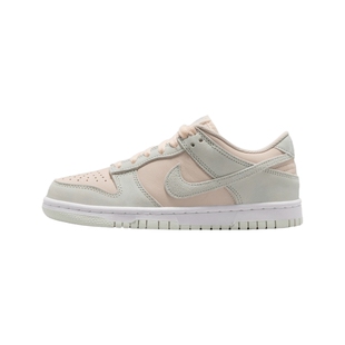 NIKE耐克大童DUNK LOW SDE (GS)运动休闲鞋IH4574-100