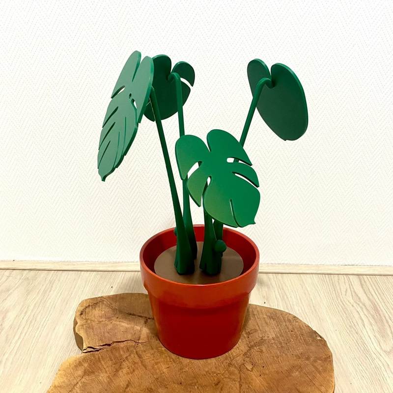 Monstera coaster plant  龟背竹杯垫植物带磁铁3D打印爆款