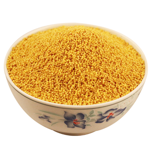山西小米陵川县西河底农家5斤袋装黄小米杂粮小黄米月子米宝宝米