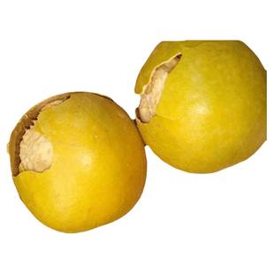 散装黄金果大果破果 广西桂林低温脱水罗汉果 脱水罗汉果特惠价