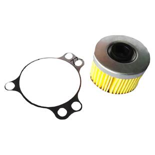 隆鑫300R250摩瑞300AC机滤LX300GS-B 300RR原厂CR6机油滤包邮