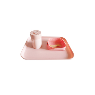 瑞音 蒙氏IC基本动作基础手眼协调练习教具套装 幼儿园日常生活区