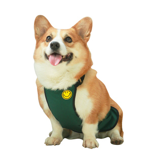 狗狗肚兜柯基犬防水宠物雨衣柯基保暖护肚公狗秋冬衣服防脏护肚子