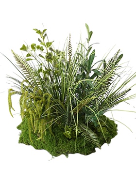 野花仿真绿植造景芦苇草仿真花