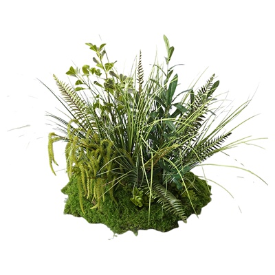 野花仿真绿植造景芦苇草仿真花