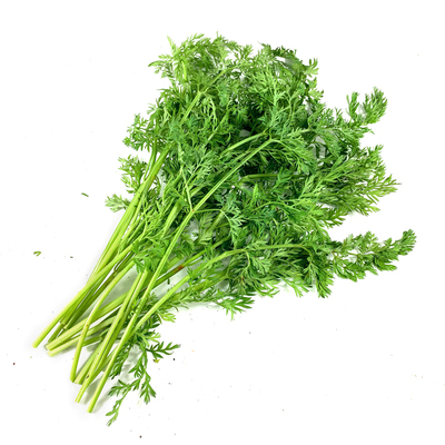 新鲜胡萝卜叶萝卜缨子蔬菜