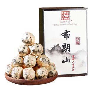 2025正宗布朗山普洱生茶龙珠头春茶云南普洱手揉小沱浓烈霸气500g