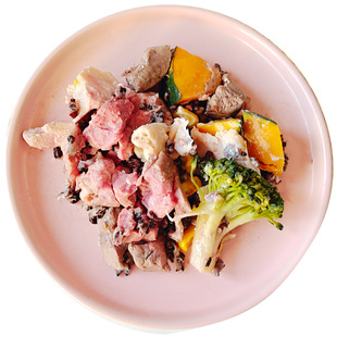 淘麻自制狗粮饭湿粮泰迪金毛柯基狗狗零食拌饭鹿肉三文鱼鲜食罐头