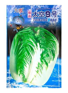 山东太空大白菜种子高产秋季
