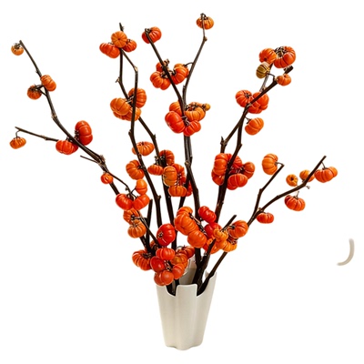 小南瓜客厅鲜切花基地直发带果发