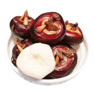 现挖湖北毛李特产新鲜红马蹄荸荠大个地梨农家水果蔬菜3斤5斤装