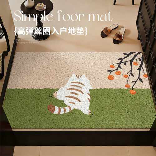 丝圈地垫入户门垫进门刮泥除尘玄关脚垫子可裁剪门口耐脏防滑地毯