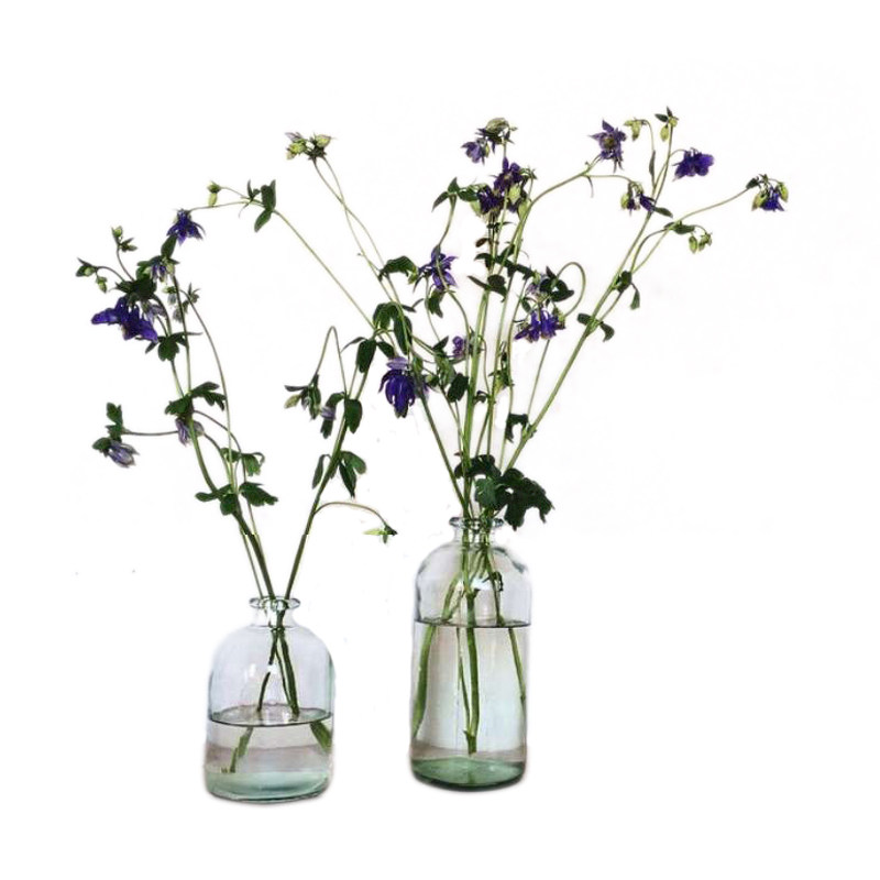 久伴高级透明玻璃花瓶鲜花插花水培绿植客厅餐厅桌面装饰摆件法式