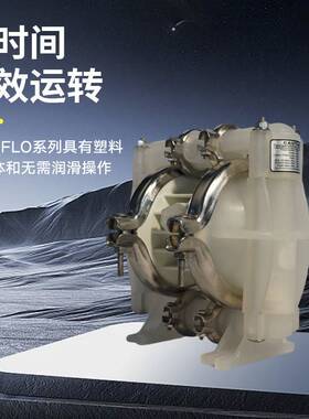 威尔顿隔膜泵WILDEN P1/PPPPP/WFS/TF/KTV 酸碱泵化工泵加药泵
