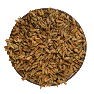 中药材种籽2024新种牛膝种子怀牛膝山苋菜牛夕四季易种川牛膝种子