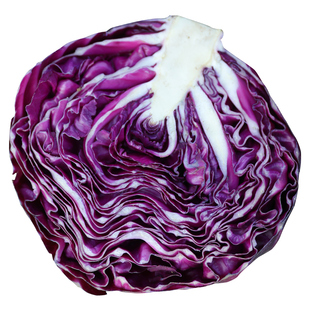 绿甘蓝种子种籽苗适合冬天种的蔬菜冬季菜种孑菜苗四季包心菜秧苗