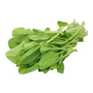 有机汇有机小白菜 新鲜无农残蔬菜自种杭白菜小青菜火锅产地直发