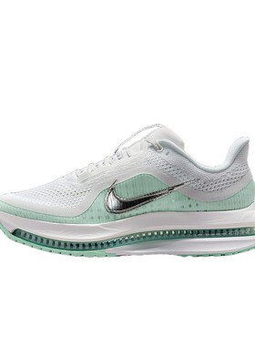 Nike耐克女鞋飞马PEGASUS PREMIUM科技感气垫鞋跑步鞋HQ2593-103