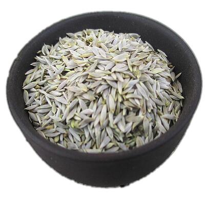 生菜籽黄瓜籽生菜籽正品接骨补钙