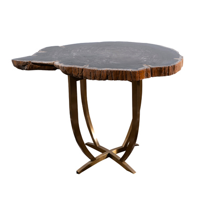 亿年木化石小边桌现代简约风格黑色硅化木设计师样板房客厅装饰品