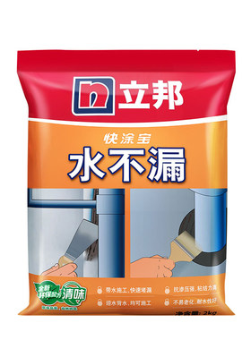立邦快涂宝水不漏堵漏王