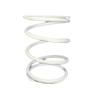 20年传动老店台湾SUN大弹簧