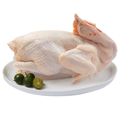 正宗三黄鸡真空包装顺丰冷链包邮