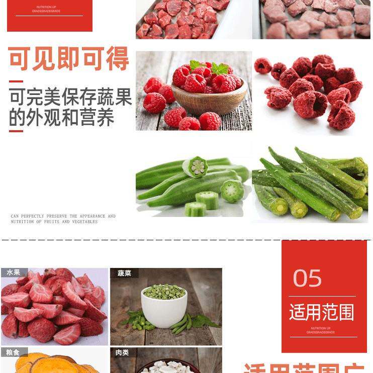 冻干机大型商用节能水果蔬菜冻干设备 食品厂用真空干燥机批发