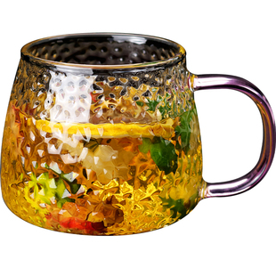 日式锤纹玻璃杯ins风女家用简约水杯耐热带把茶杯泡茶喝水杯子