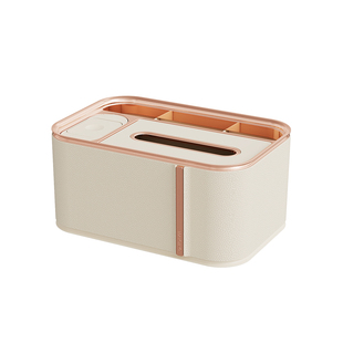 纸巾盒家用客厅高档轻奢多功能茶几遥控器收纳盒桌面高级感抽纸盒